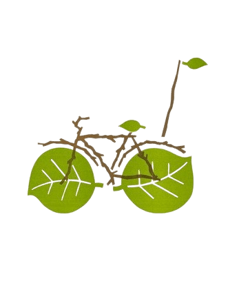 Eco-friendly Practices